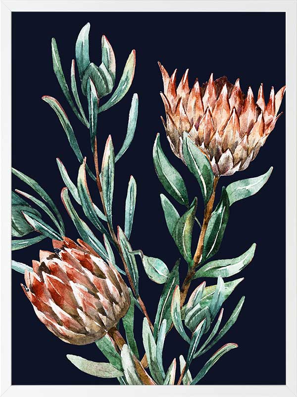 Dark Proteas II Poster Framed Art Print