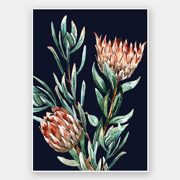 Dark Proteas II Unframed Art Print