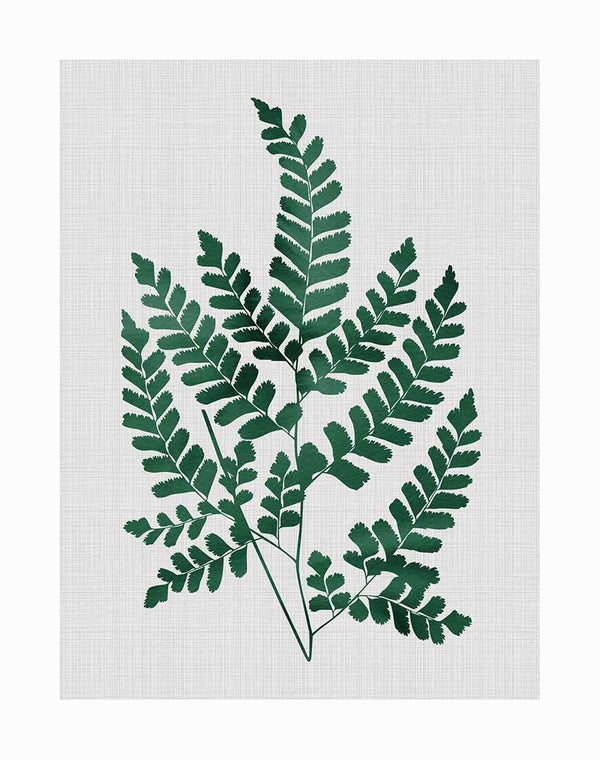 Urban Road's Chestnut Green Unframed Art Print features a botanical illustration of emerald fern leaves with detailed leaflets, set against a textured light grey background.