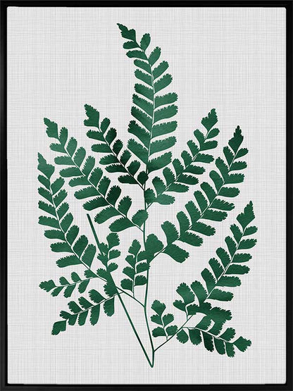 Chestnut Green Canvas Art Print