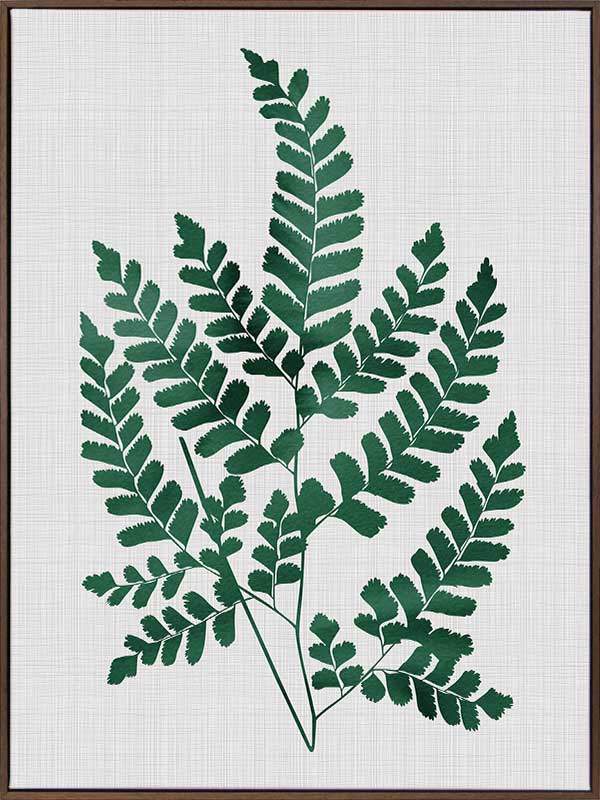 Chestnut Green Canvas Art Print