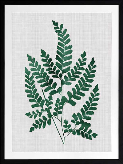 Chestnut Green Poster Framed Art Print