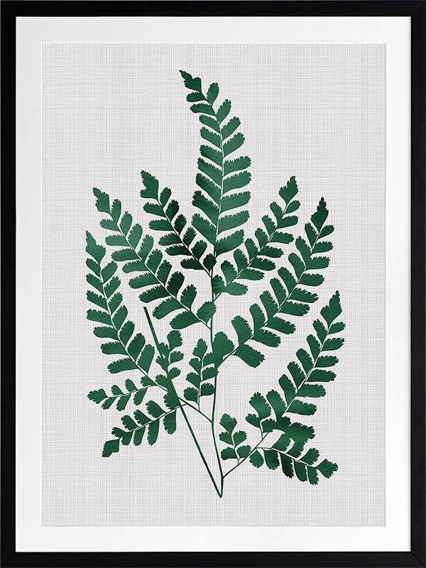 Chestnut Green Poster Framed Art Print