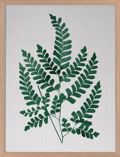 Chestnut Green Poster