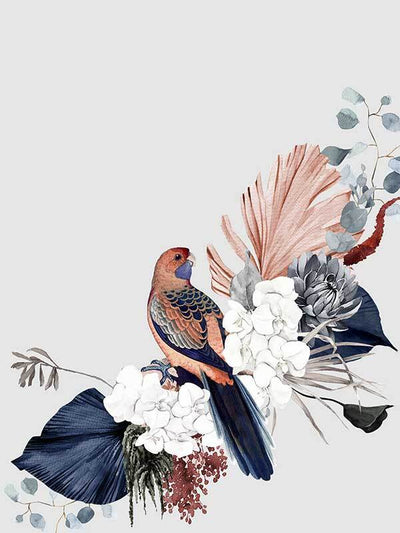 Blushing Rosella Unframed Art Print