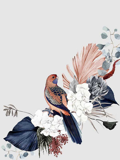 Blushing Rosella Canvas Art Print