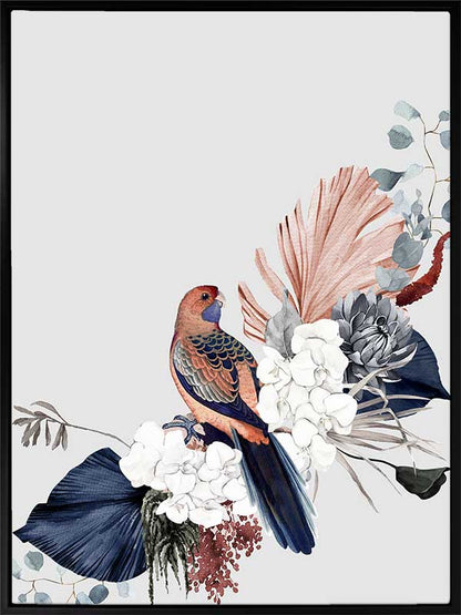 Blushing Rosella Canvas Art Print