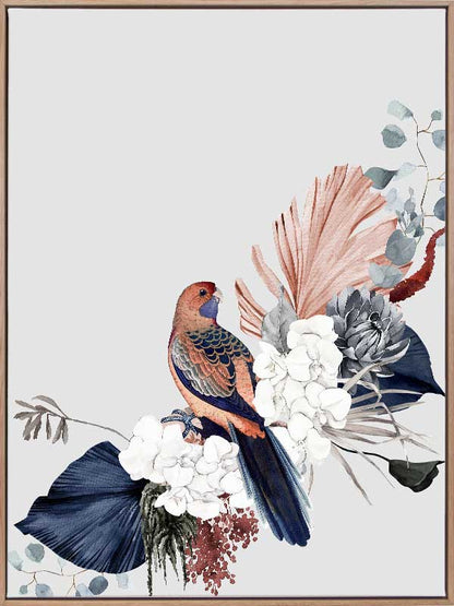 Blushing Rosella Canvas Art Print