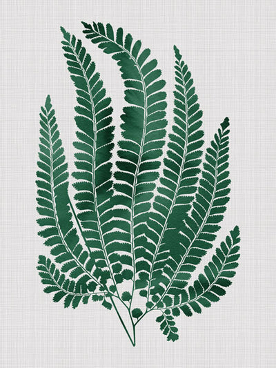 Maple Green Unframed Art Print