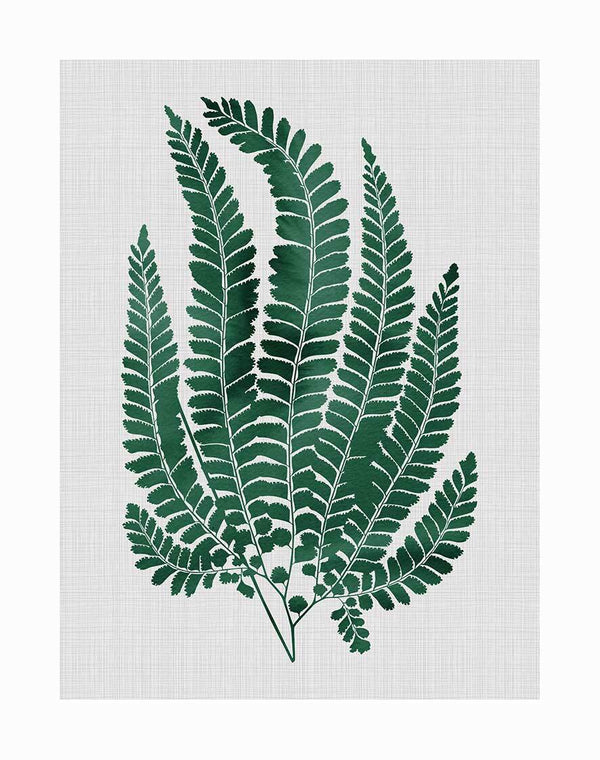 A botanical illustration of a maple green tree branch with detailed fern fronds, set against a textured light grey background, inspired by the Maple Green Unframed Art Print from Urban Road.