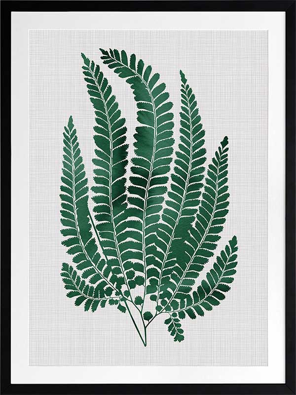 Maple Green Poster Framed Art Print