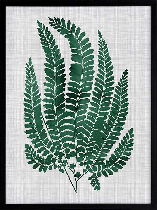 Maple Green Poster Framed Art Print