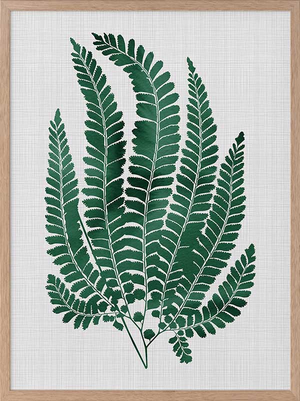 Maple Green Poster Framed Art Print