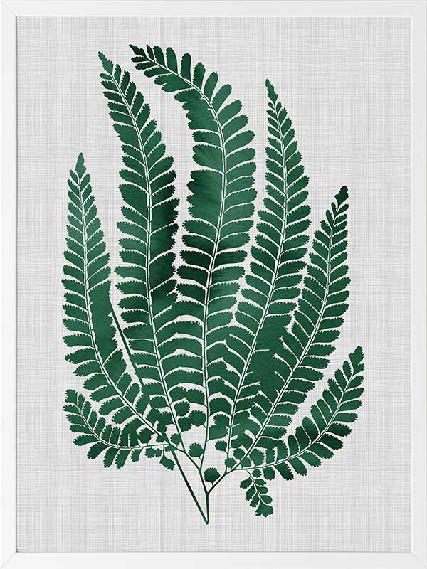 Maple Green Poster Framed Art Print