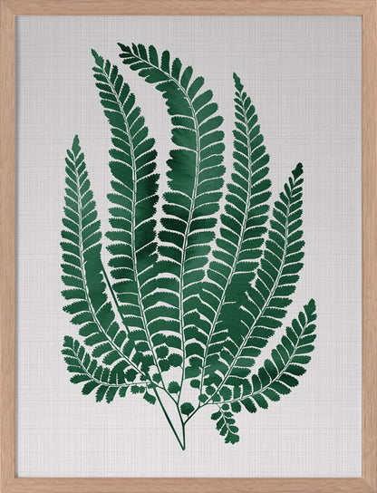 Maple Green Poster