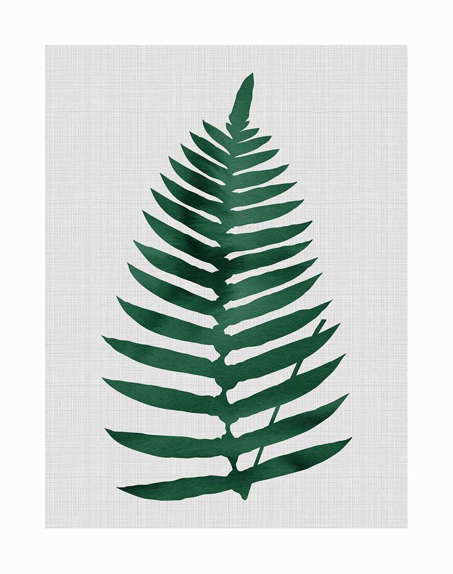 Beech Green Unframed Art Print