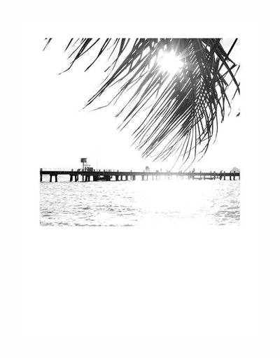 The Palm Cove I Unframed Art Print by Urban Road features a black-and-white pier scene at Palm Cove, with sunlight streaming through palm leaves for a bright, tranquil effect.
