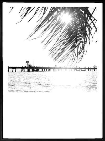 Palm Cove I Canvas Art Print