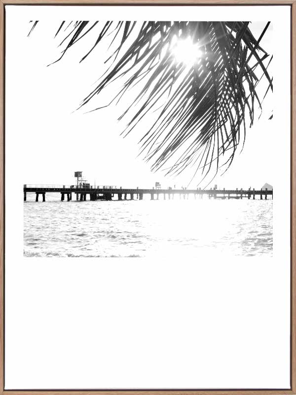 Palm Cove I Canvas Art Print