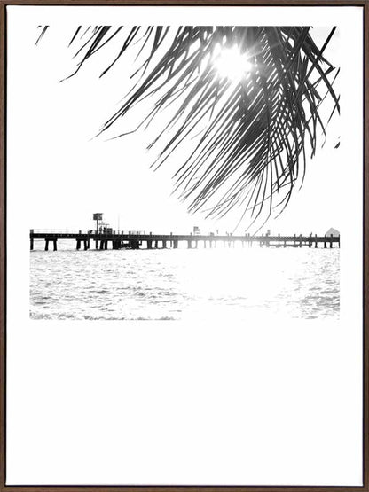 Palm Cove I Canvas Art Print