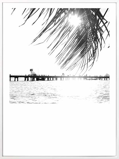 Palm Cove I Canvas Art Print