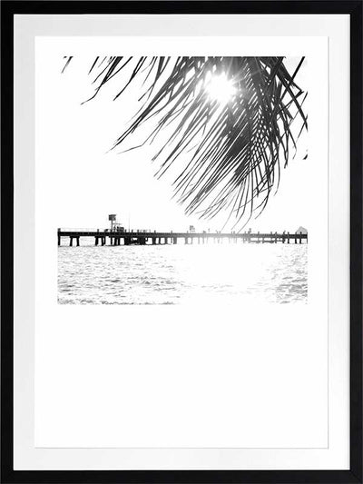 Palm Cove I Poster Framed Art Print