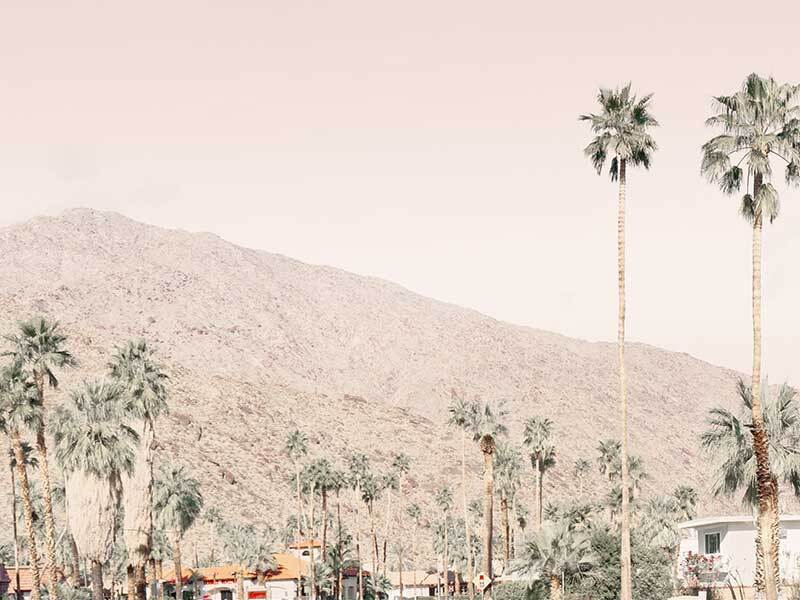 Palm Springs I Canvas Art Print