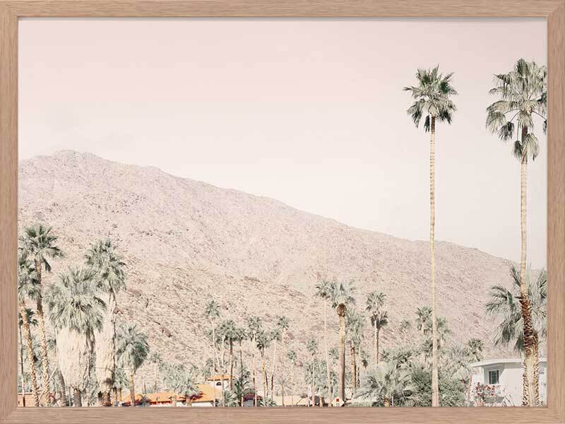 Palm Springs I Poster