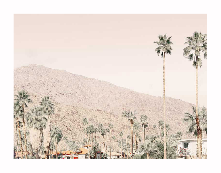 Palm Springs I Unframed Art Print