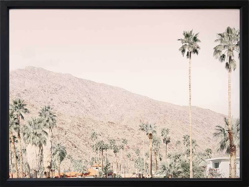 Palm Springs I Poster