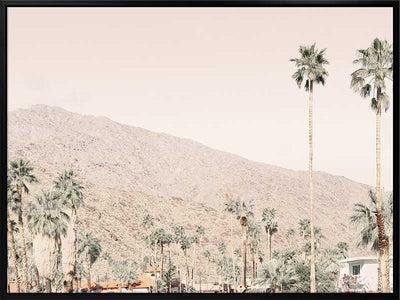 Palm Springs I Canvas Art Print
