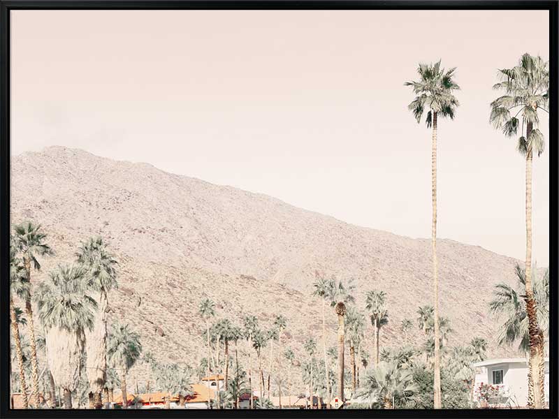 Palm Springs I Canvas Art Print