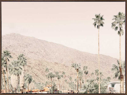 Palm Springs I Canvas Art Print