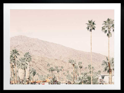 Palm Springs I Poster Framed Art Print