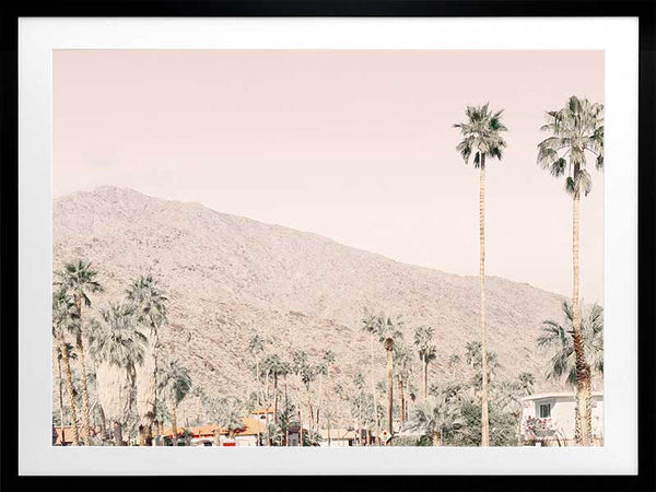 Palm Springs I Poster Framed Art Print