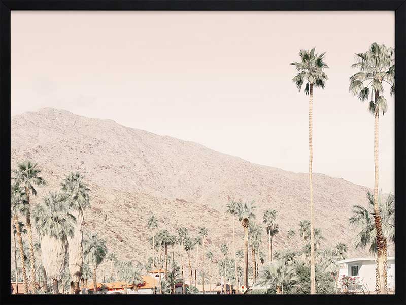 Palm Springs I Poster Framed Art Print