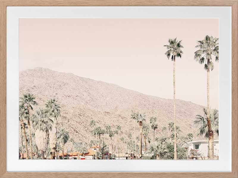Palm Springs I Poster Framed Art Print