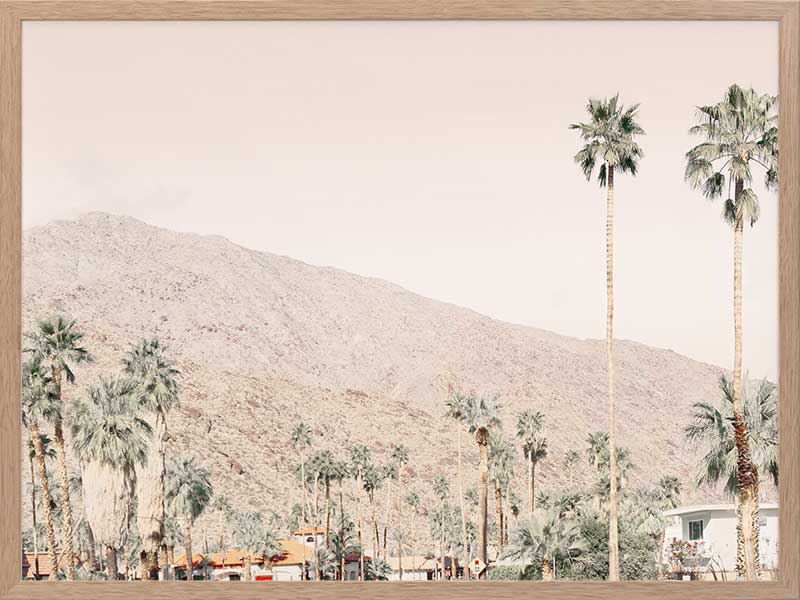 Palm Springs I Poster Framed Art Print