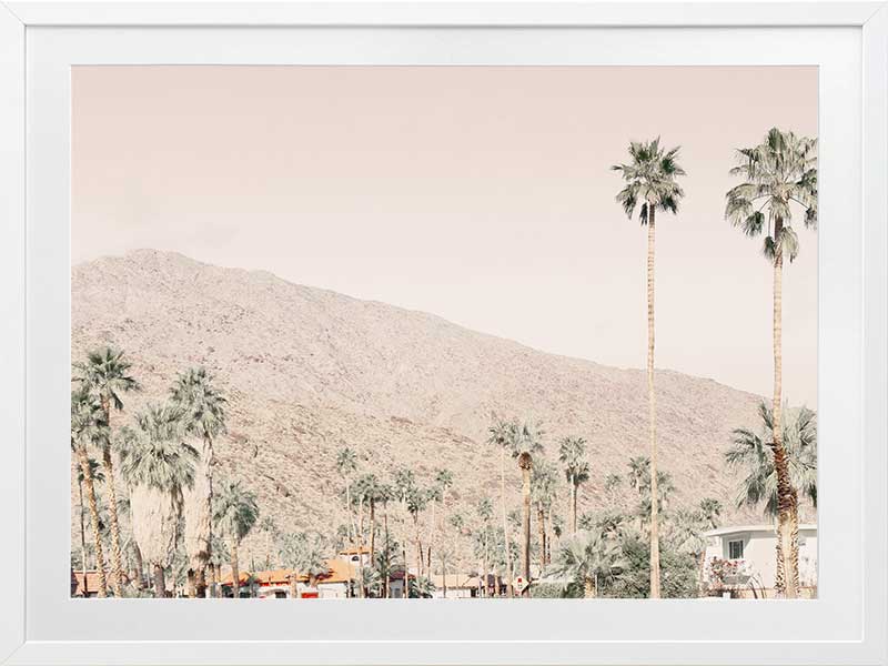 Palm Springs I Poster Framed Art Print