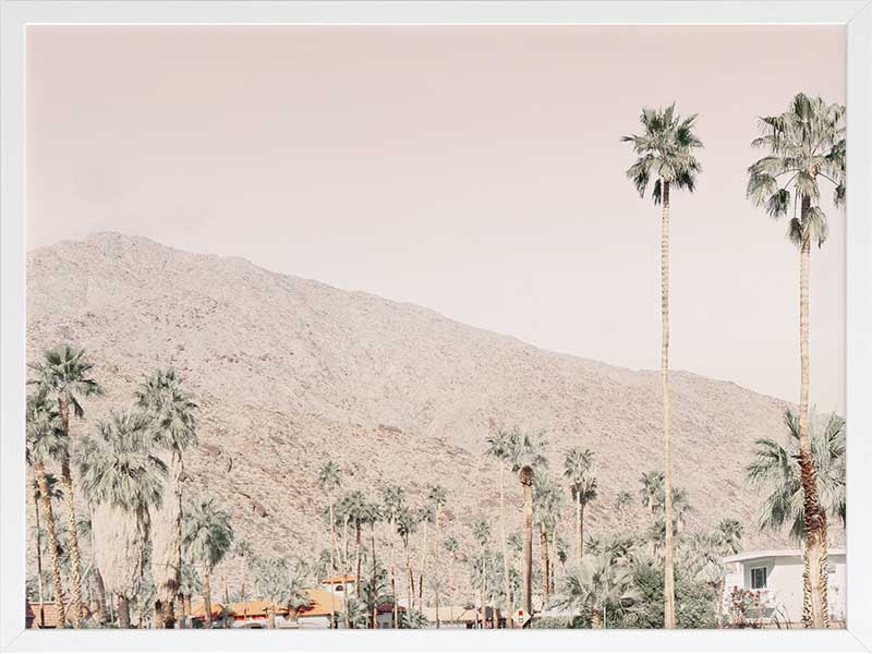 Palm Springs I Poster Framed Art Print
