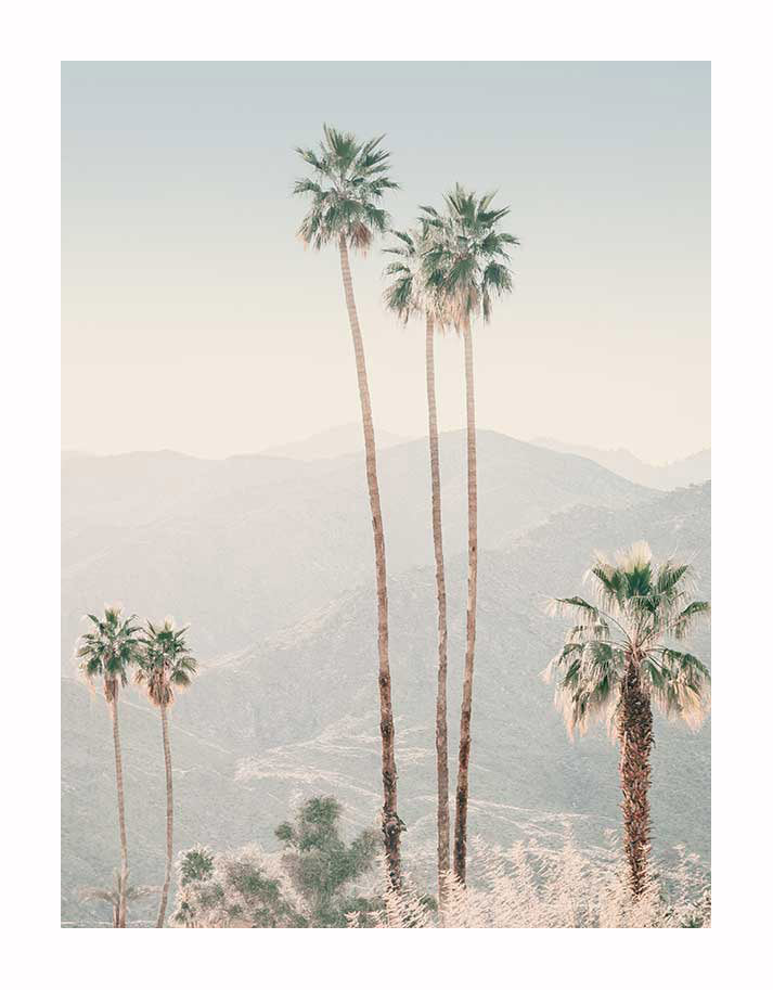 Five tall palms rise before hazy, sunlit mountains beneath a pale blue sky in this bright, tranquil scene—perfect as the Palm Springs II Unframed Art Print by Urban Road.