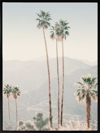 Palm Springs II Canvas Art Print