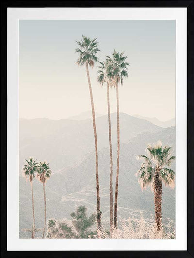Palm Springs II Poster Framed Art Print