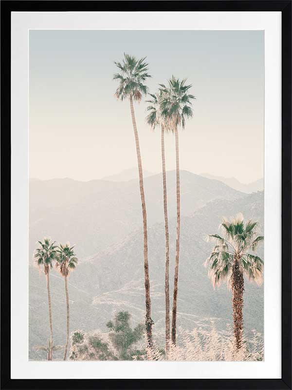 Palm Springs II Poster Framed Art Print
