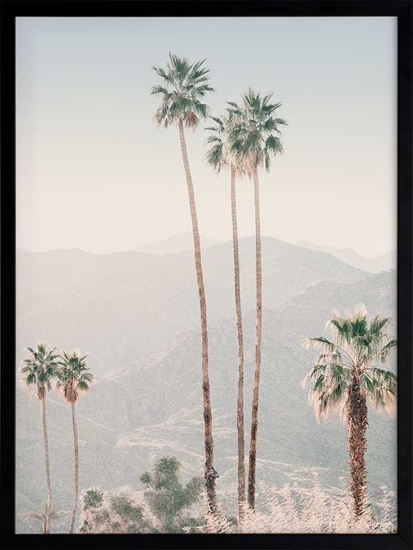 Palm Springs II Poster Framed Art Print