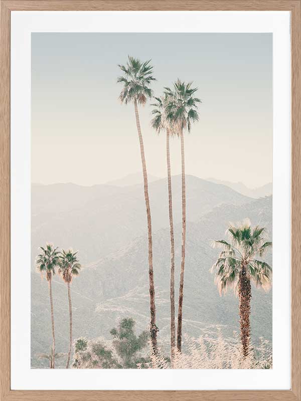 Palm Springs II Poster Framed Art Print