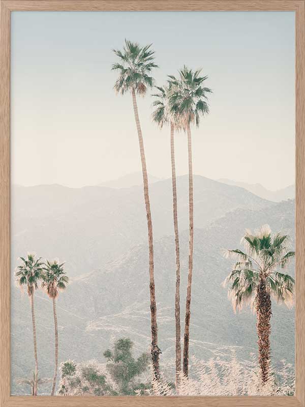 Palm Springs II Poster Framed Art Print