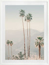 Palm Springs II Poster Framed Art Print