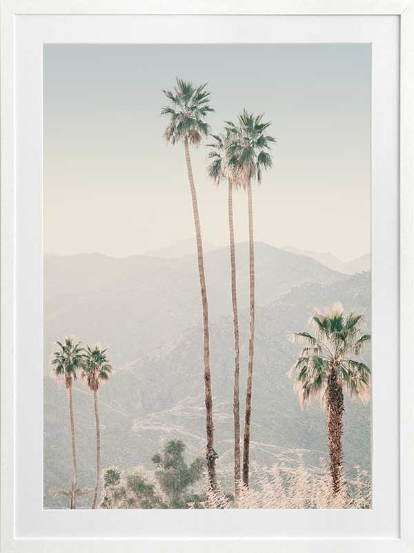 Palm Springs II Poster Framed Art Print