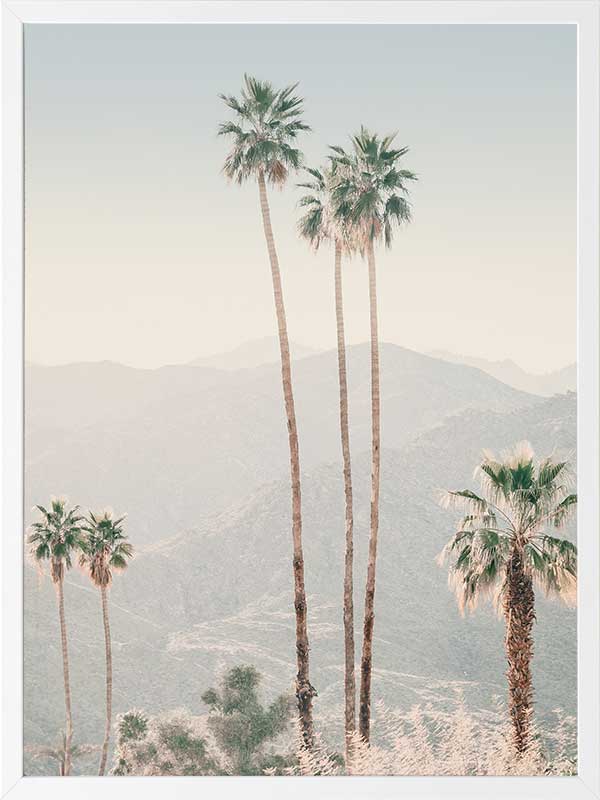 Palm Springs II Poster Framed Art Print